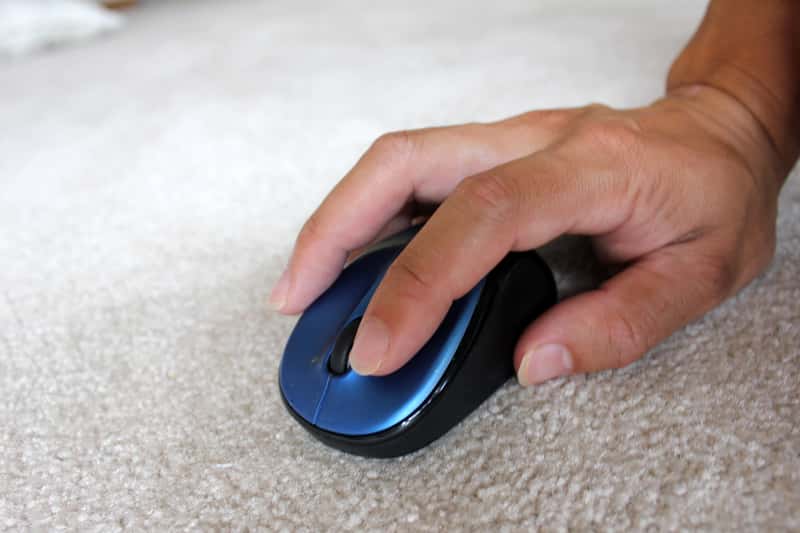 Blown Away Stupid Facts