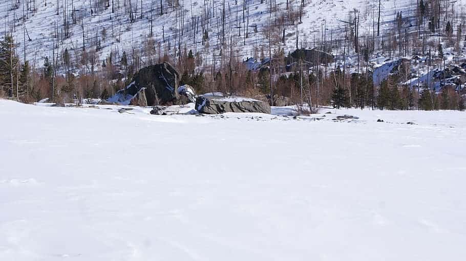 Anna of Russia facts