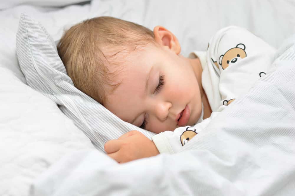 Dumbest Idea Worked Facts