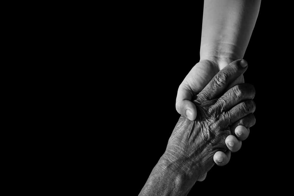 Heartwarming Moments Facts