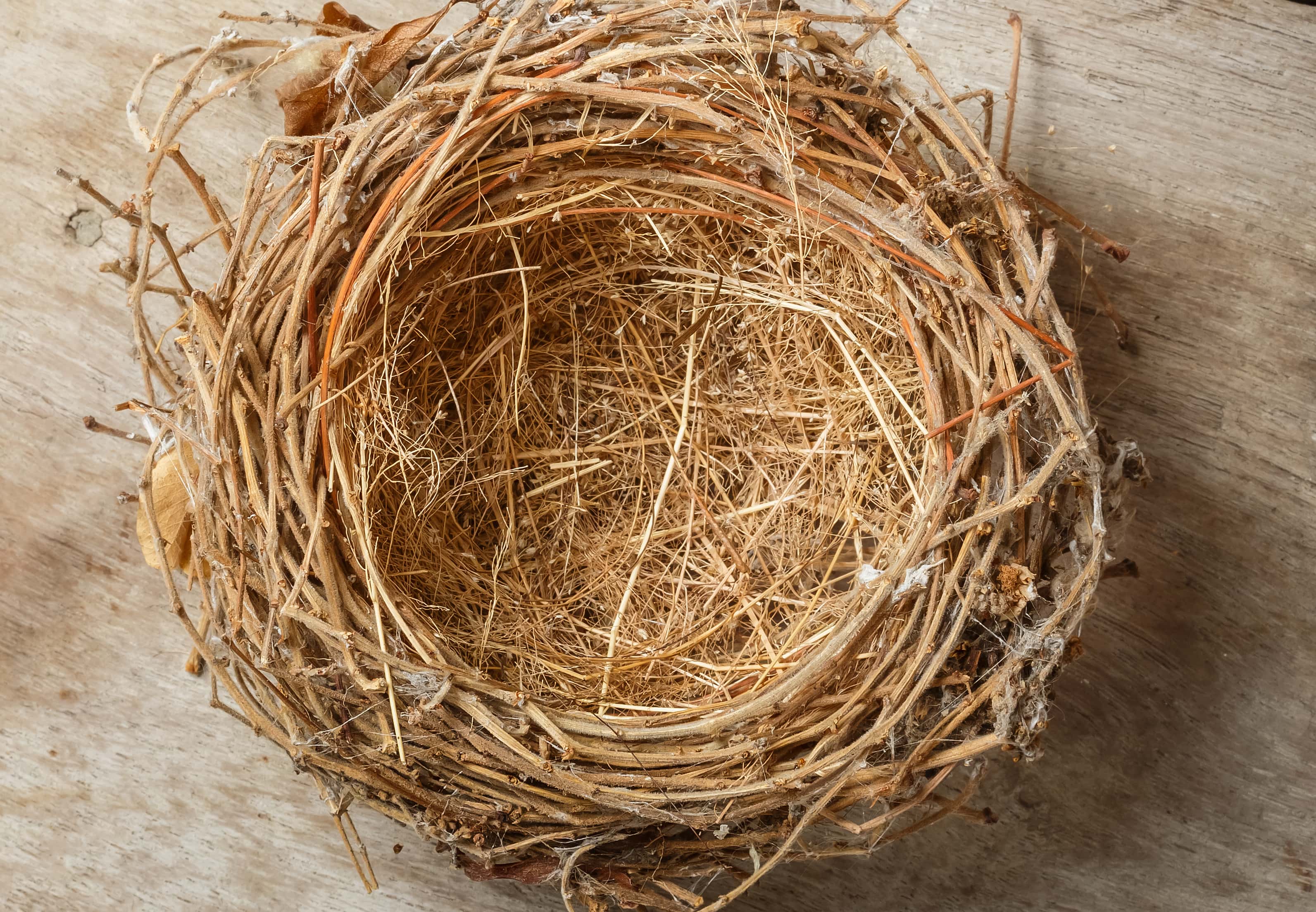 Anna of Russia facts