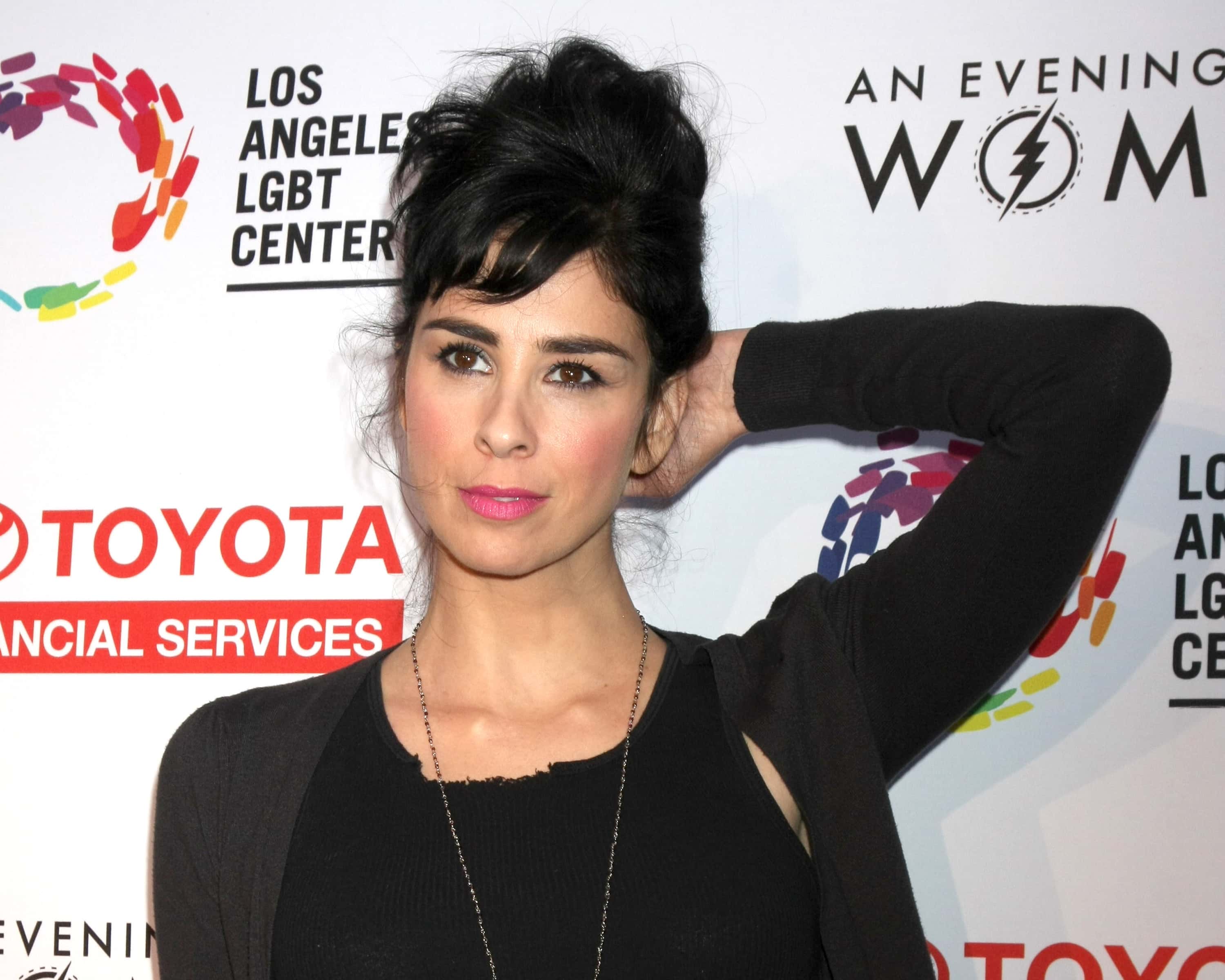 Sarah Silverman facts