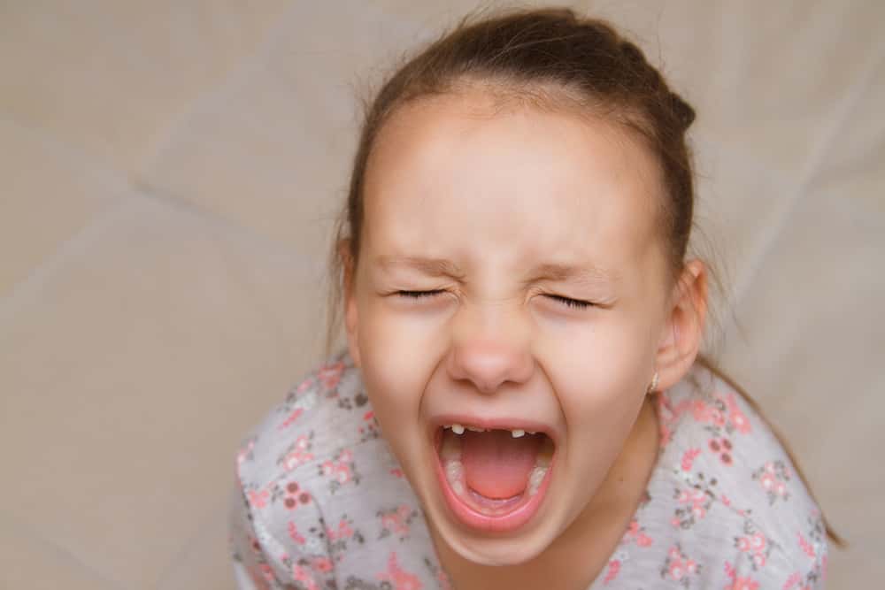 Horrible Teachers Facts