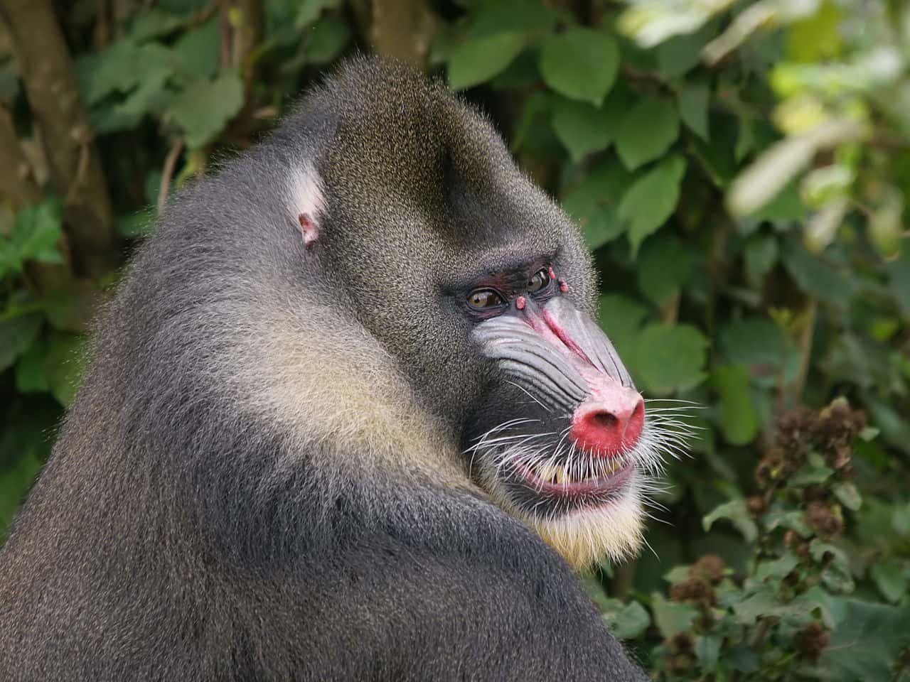 Creepy Camping Experiences Facts