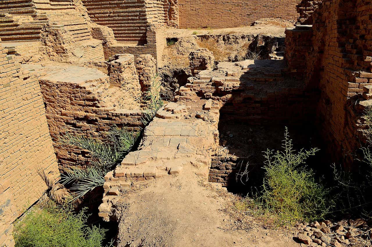 Shouldn't Know facts