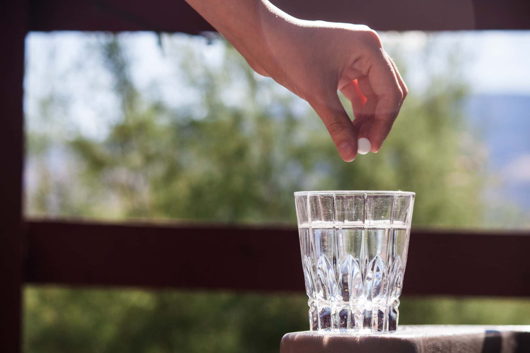 Dumbest Arguments Lost Facts