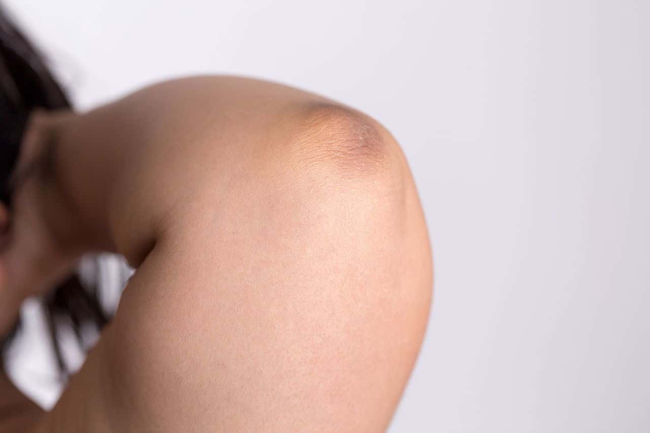 Search Histories facts