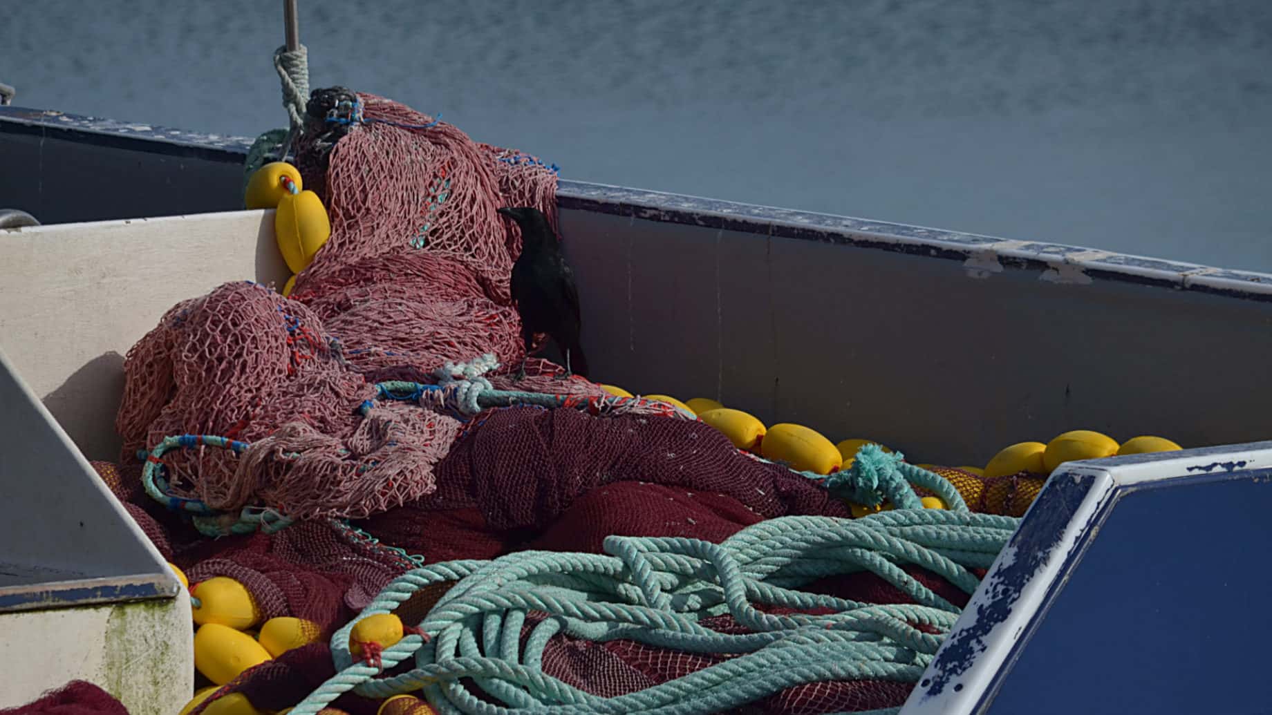 Michael Bublé facts