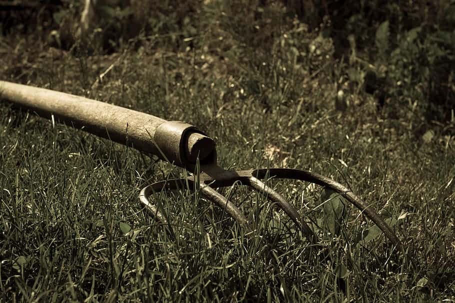 Messed Up As a Kid Facts