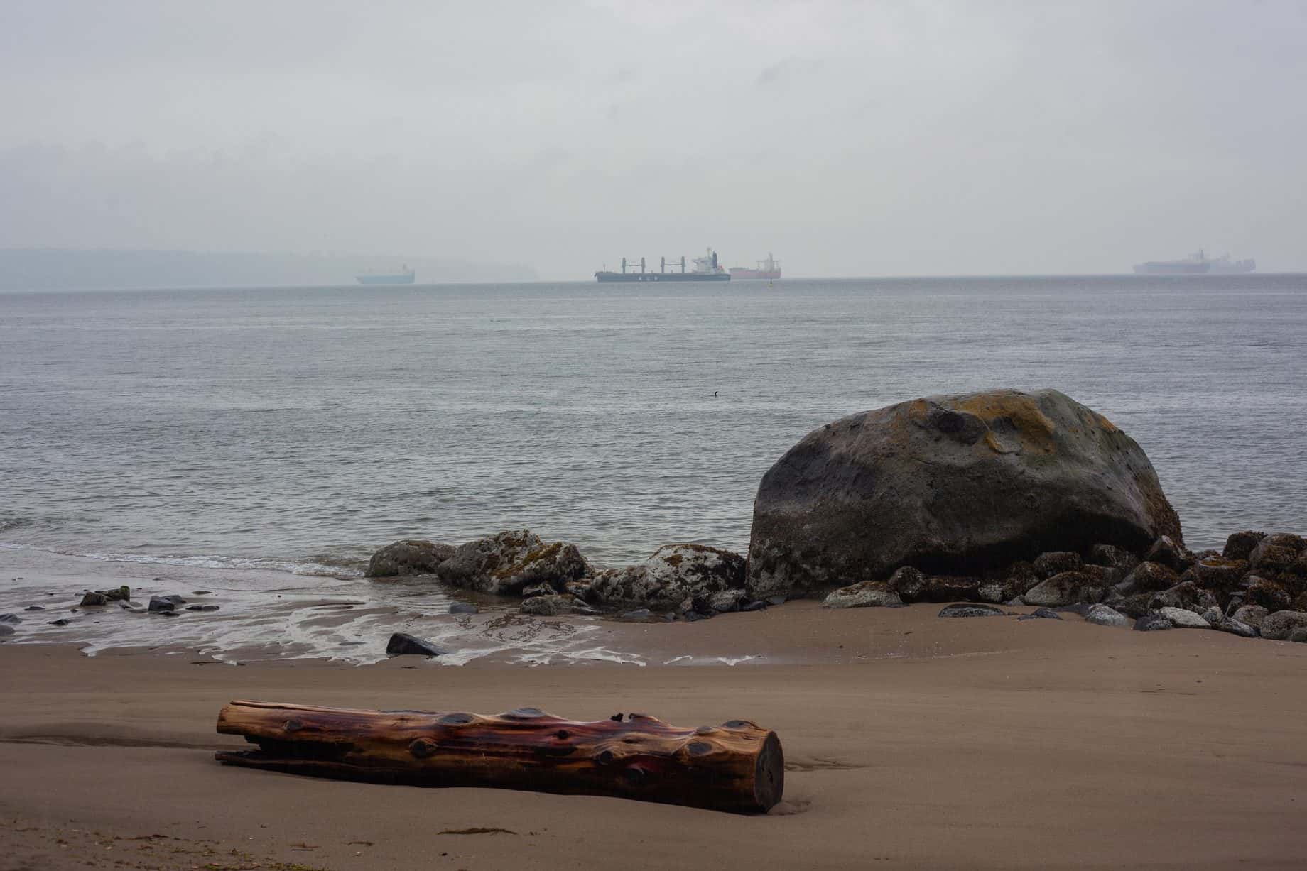 Michael Bublé facts