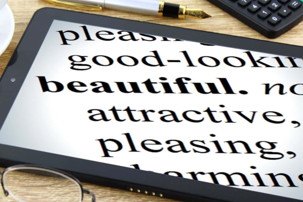 Search Histories facts