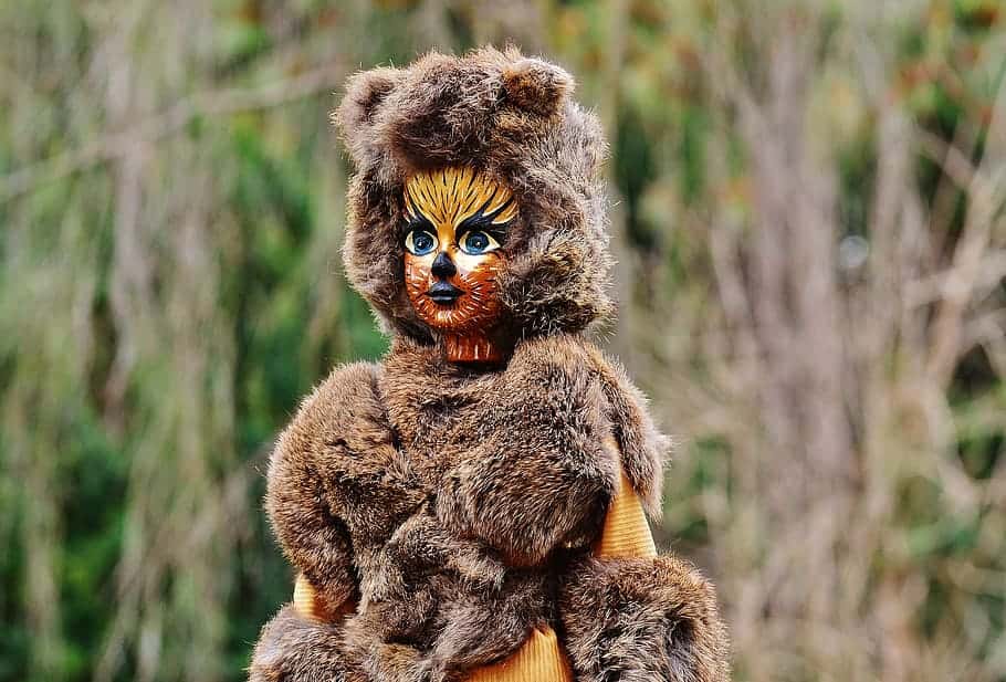 Things children believe Facts