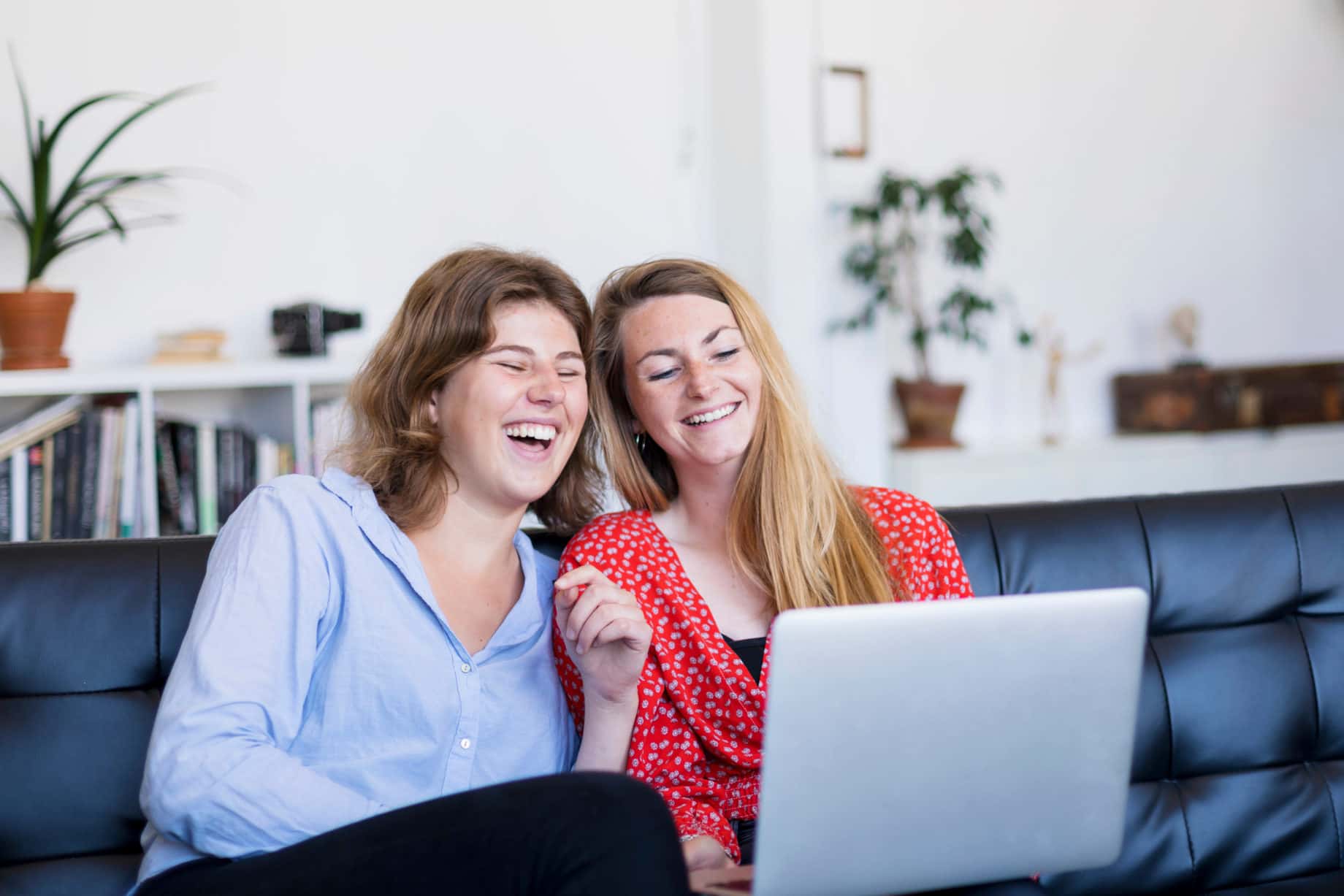 Dumbest Things Heard facts