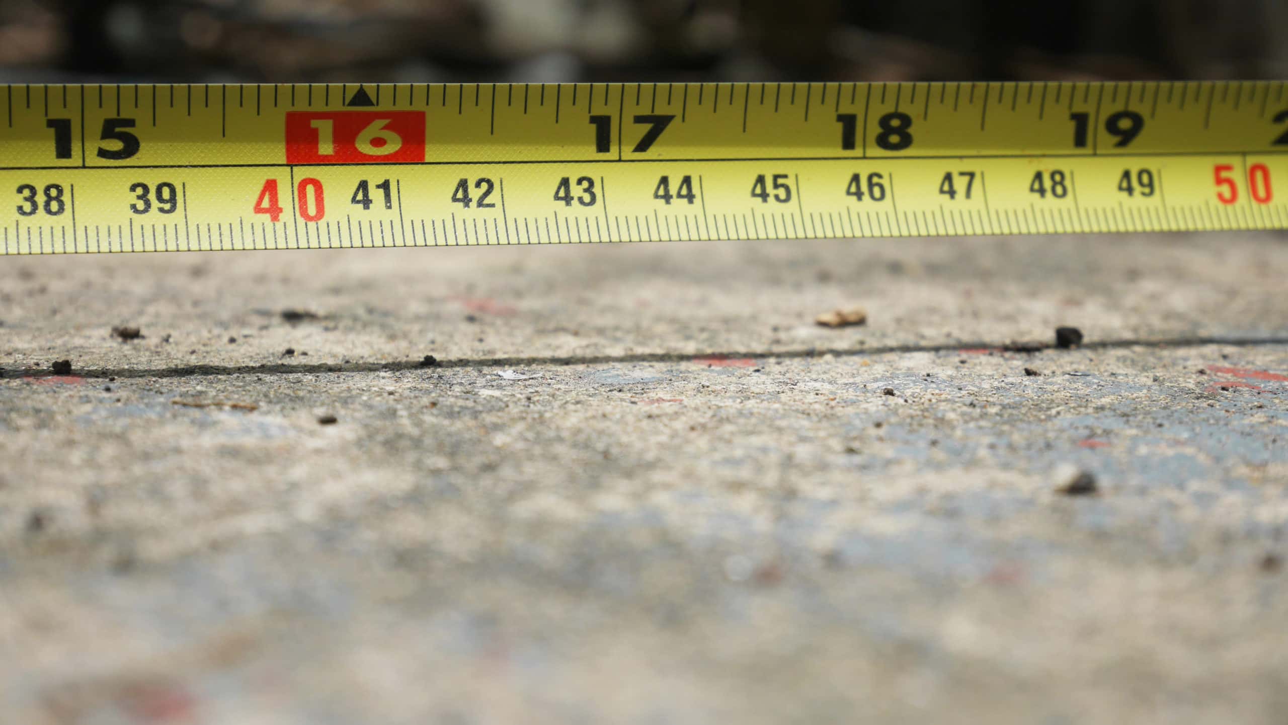 Search Histories facts