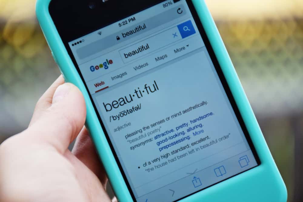 Search Histories facts