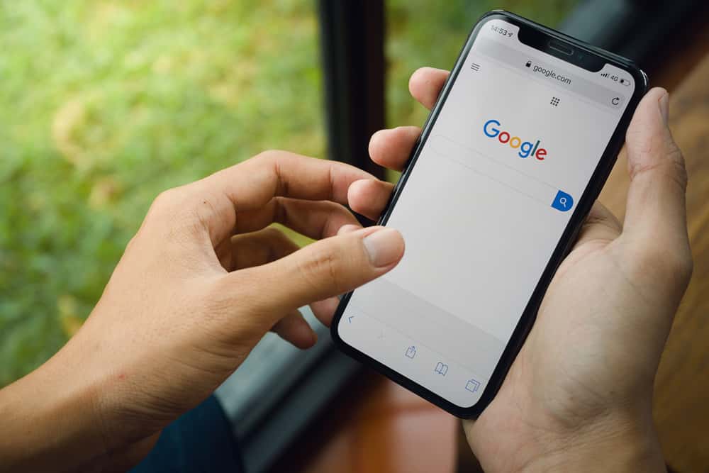 Search Histories facts