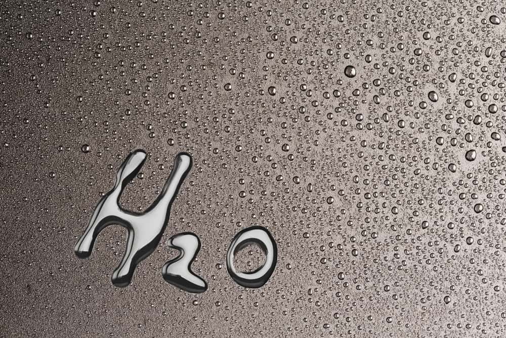 Dumbest Arguments Lost Facts