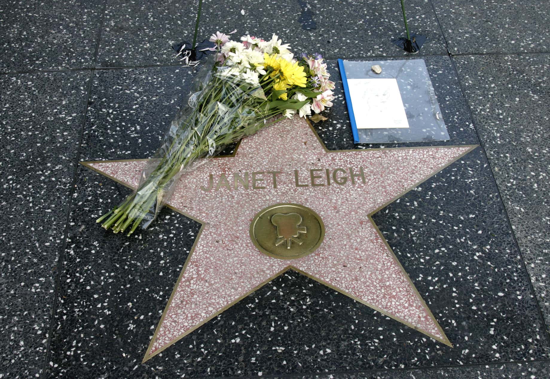 Janet Leigh star 