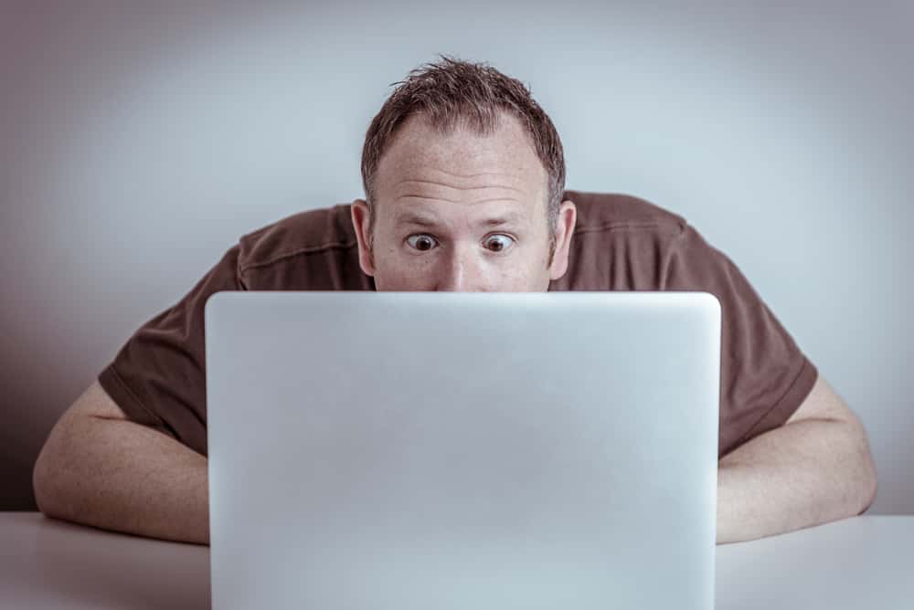 Search Histories facts