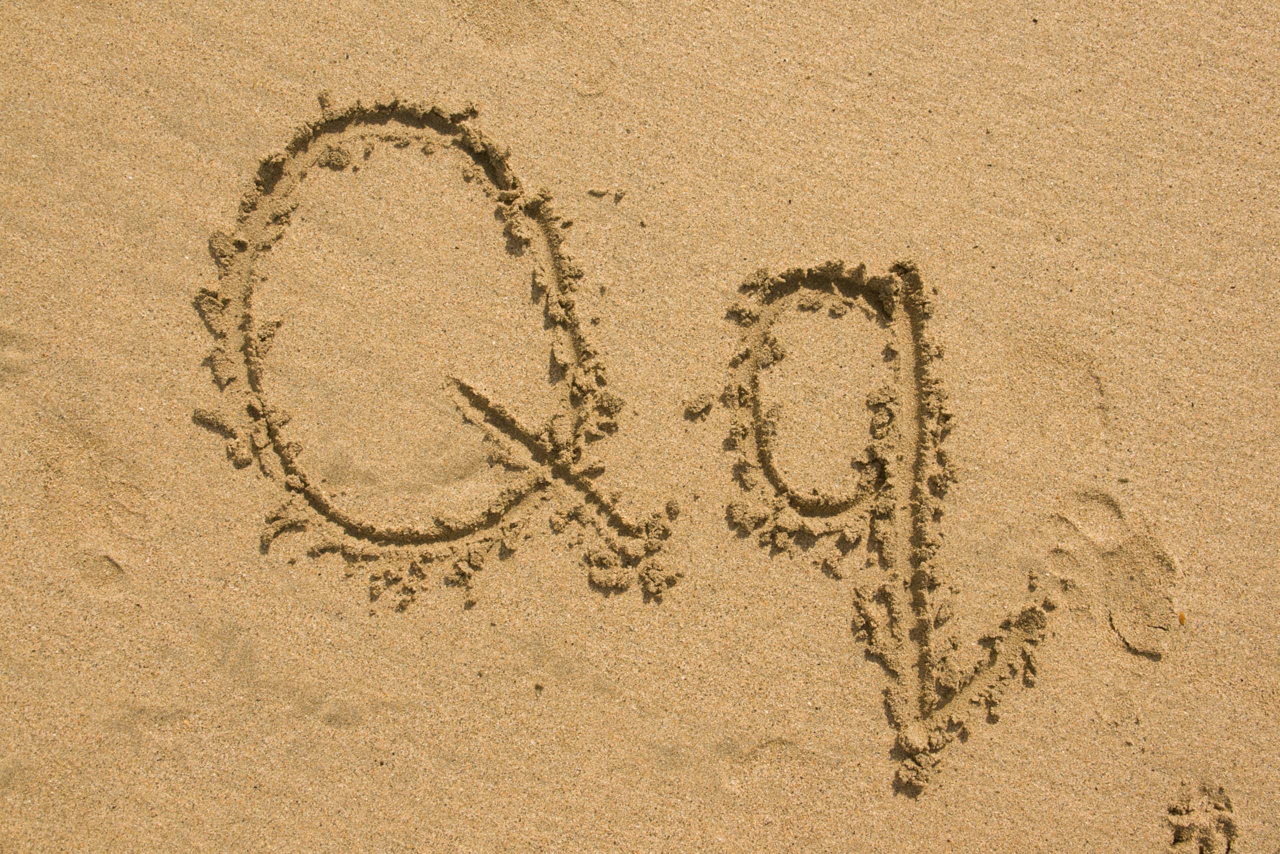 Search Histories facts