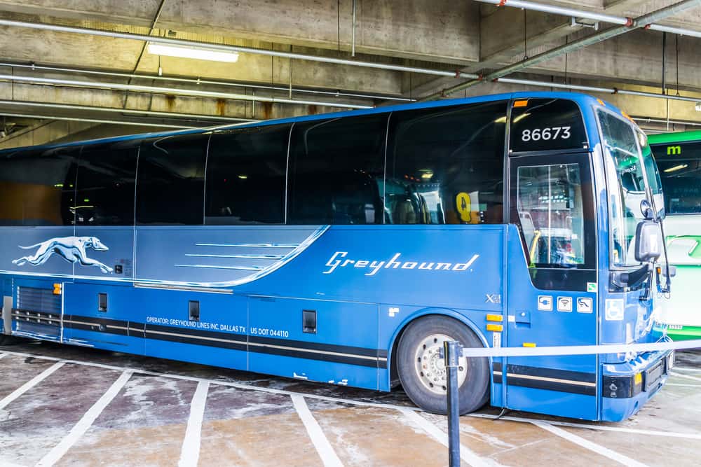 Caution to the Wind facts