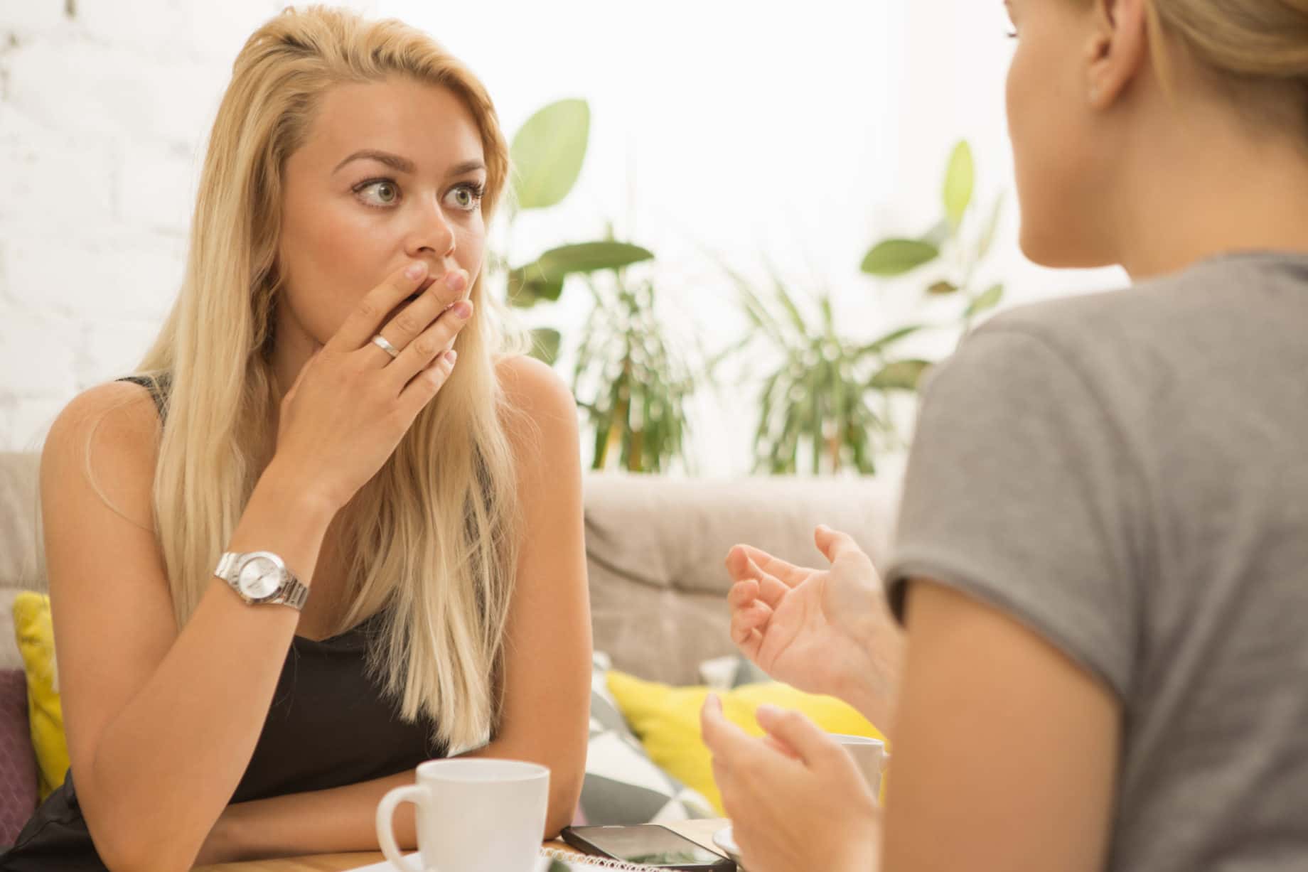 Dumbest Things Heard facts