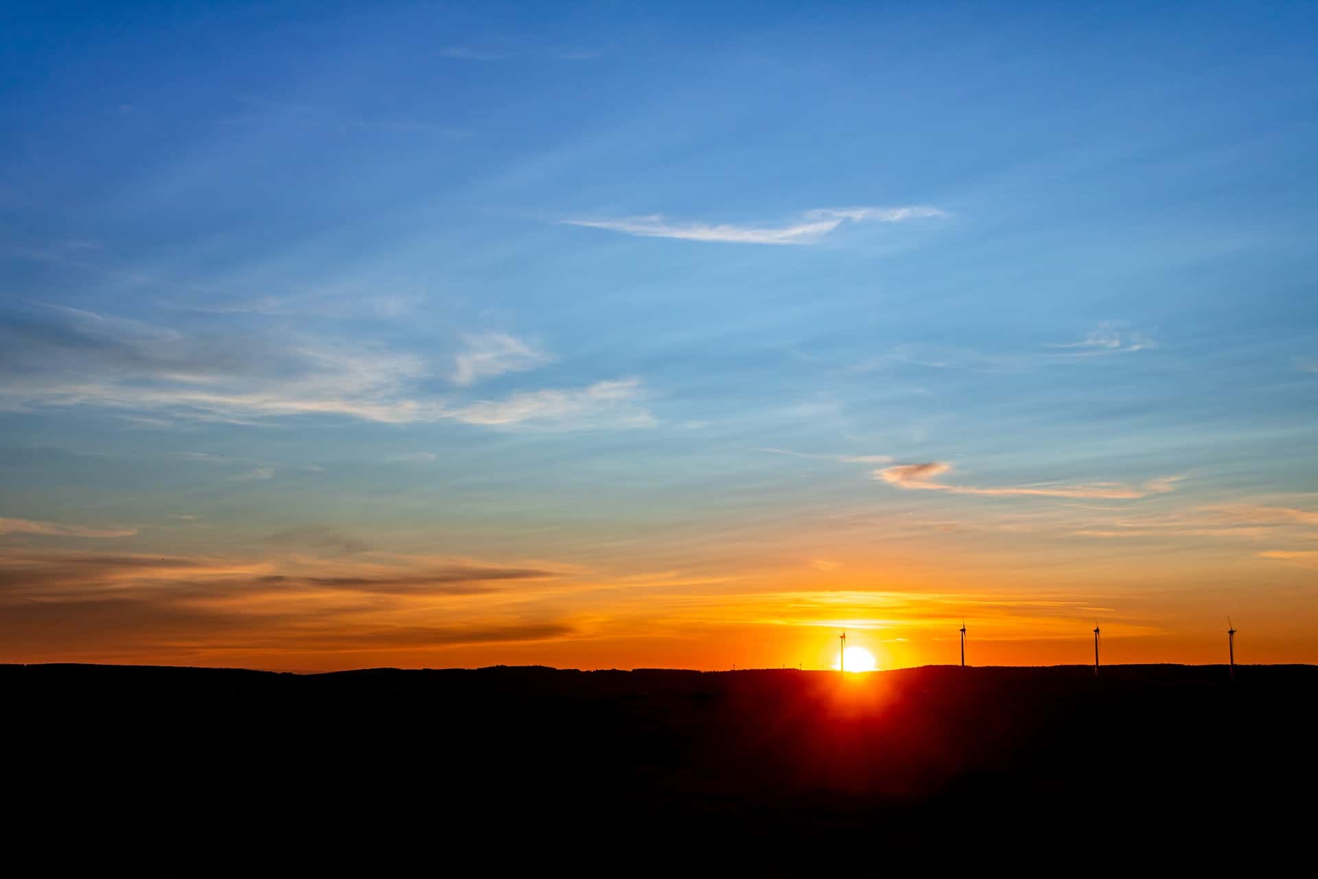 Search Histories facts