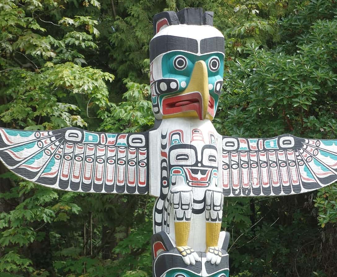 Dumbest Things Heard facts