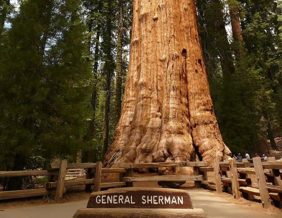 Dumbest Arguments Lost Facts