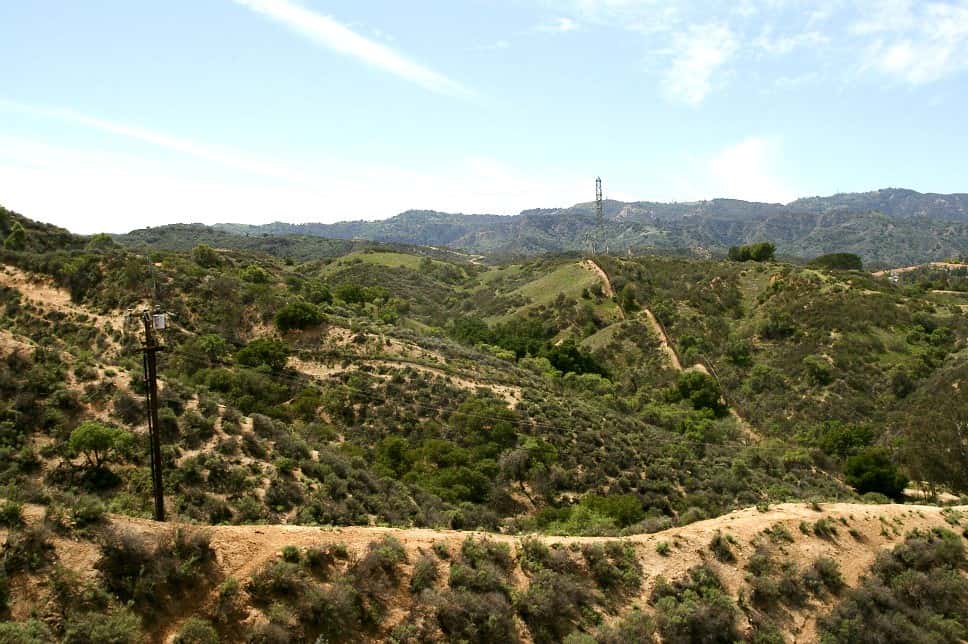 Sonic The Hedgehog facts