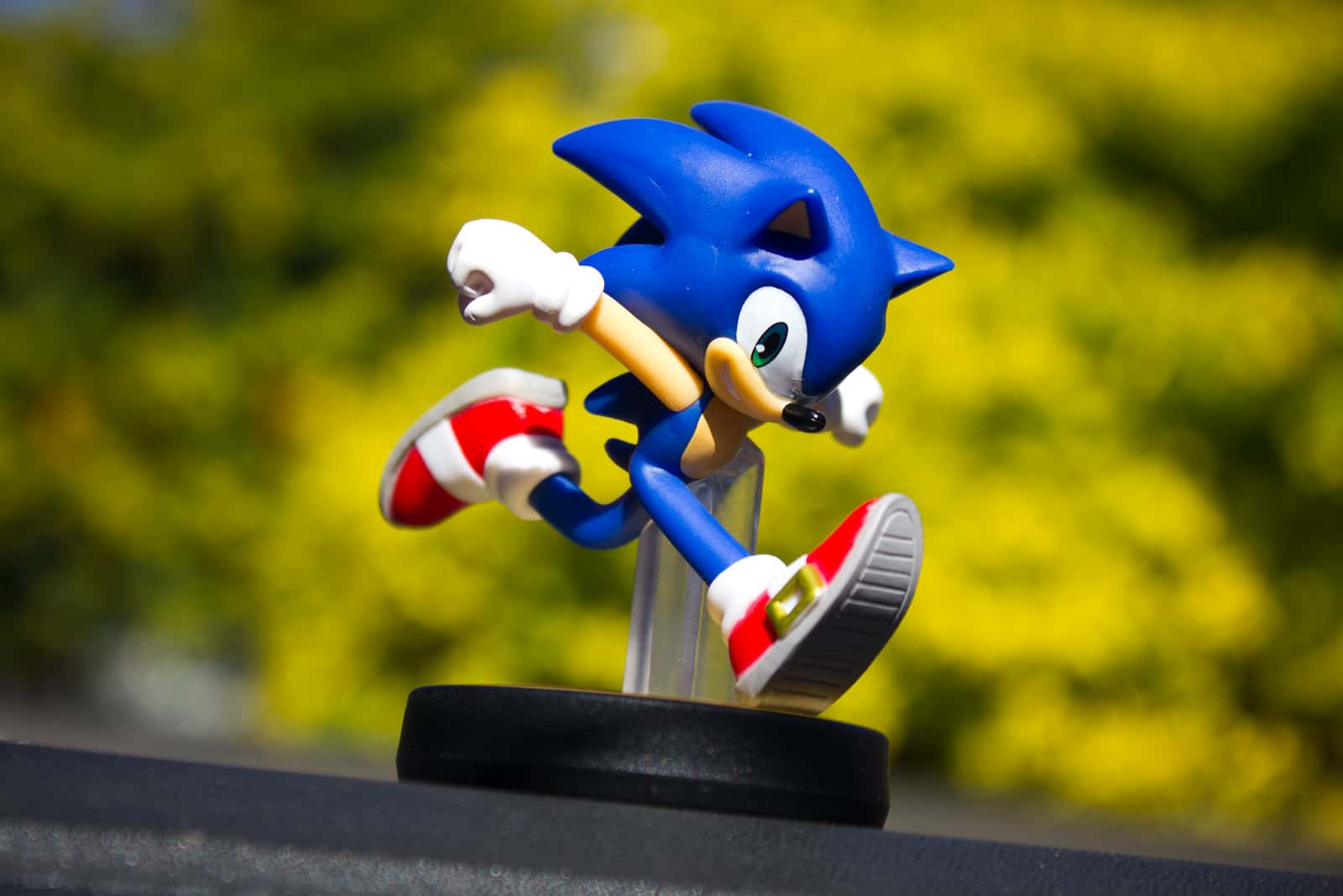 Sonic The Hedgehog facts