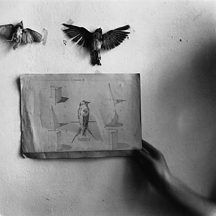 Francesca Workman Editorial