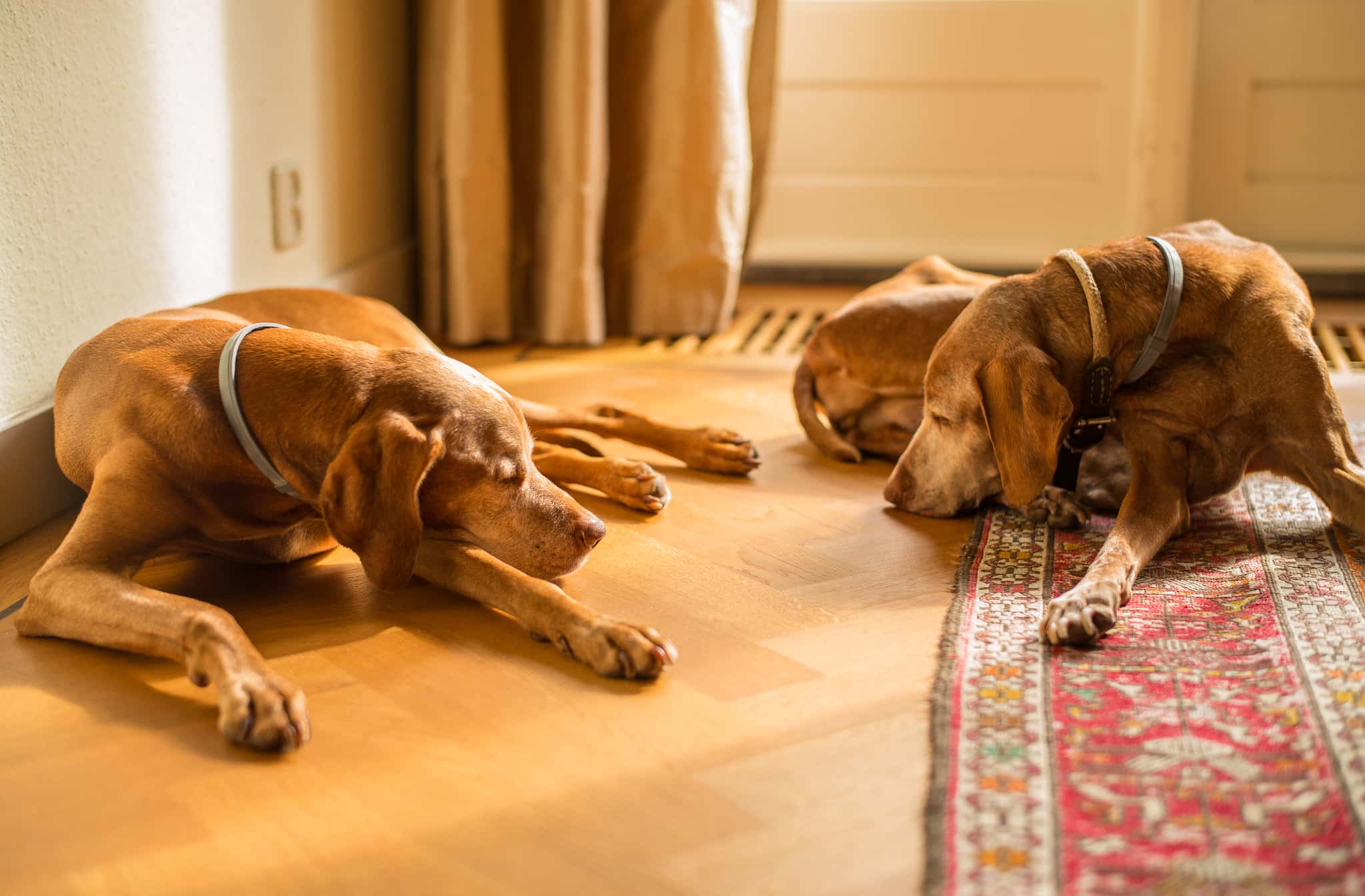 Crazy funerals facts