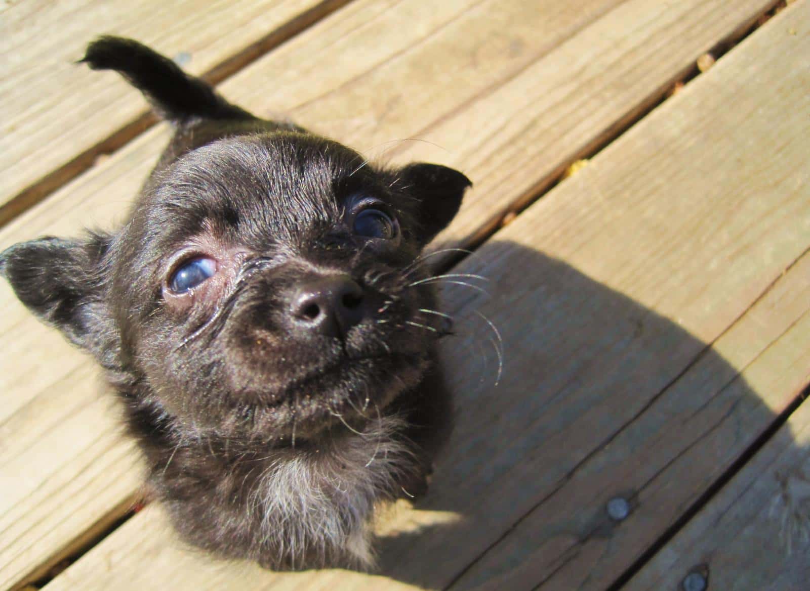 Crazy funerals facts