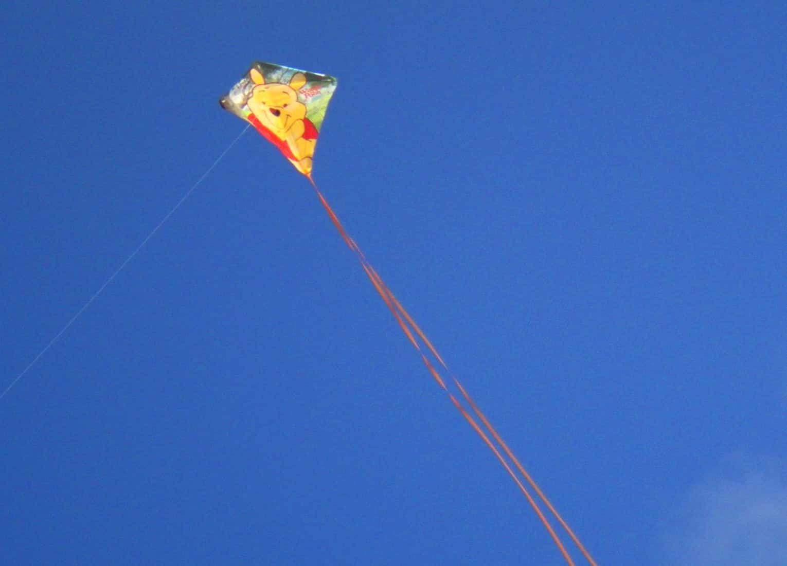 Amazing Coincidences facts