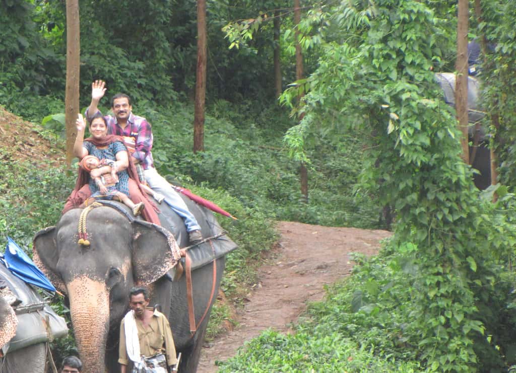 Reason for Divorce Facts