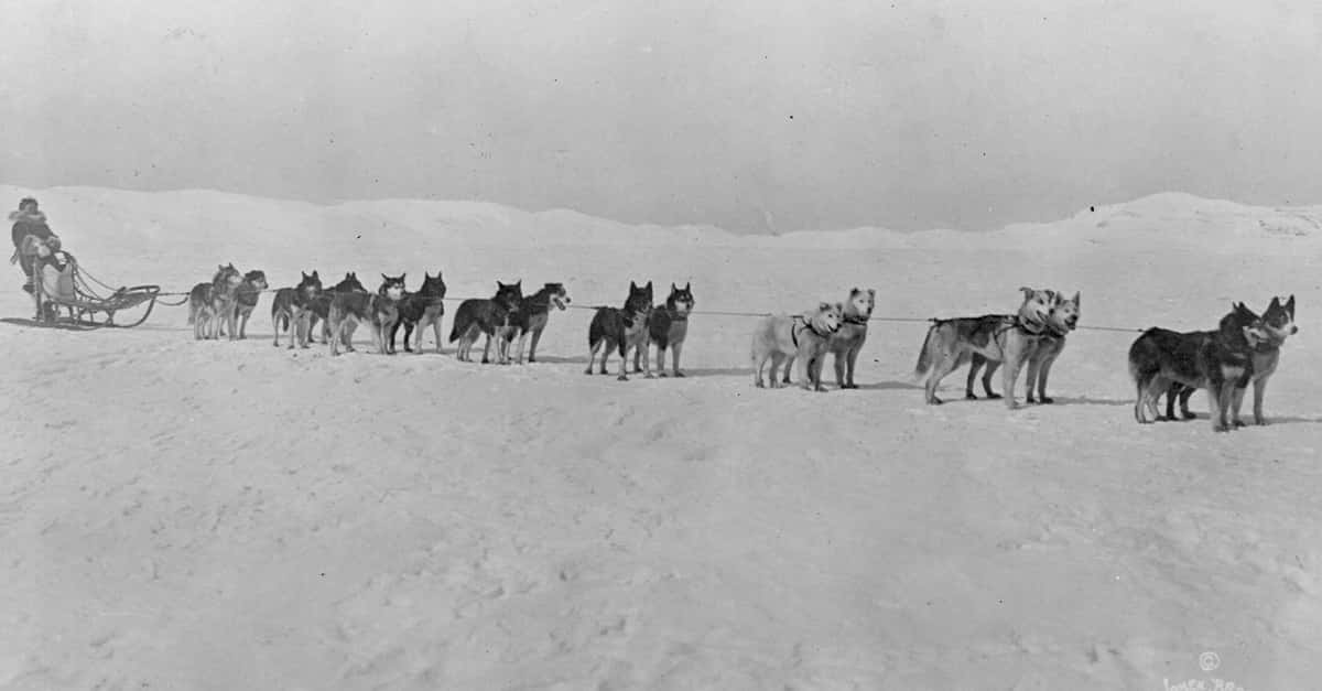 south pole editorial