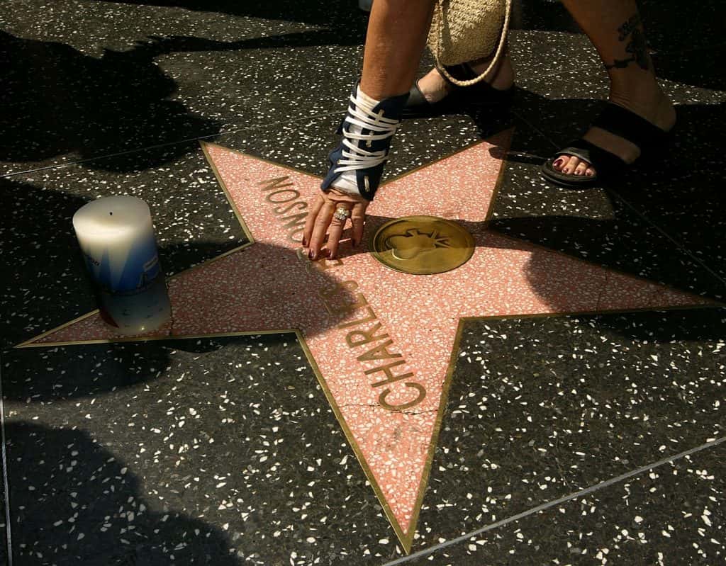 Charles Bronson Facts