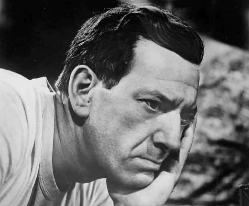 Charles Bronson Facts