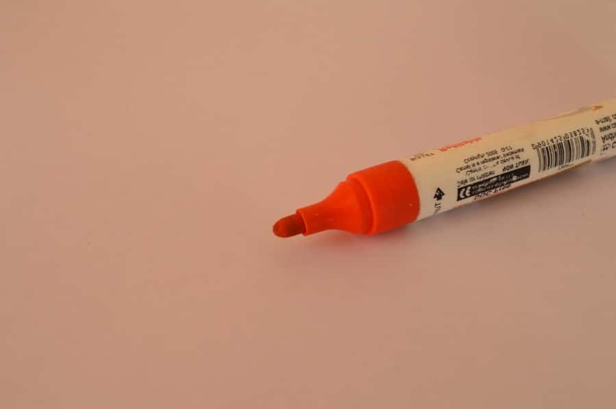 That Kid In School Facts