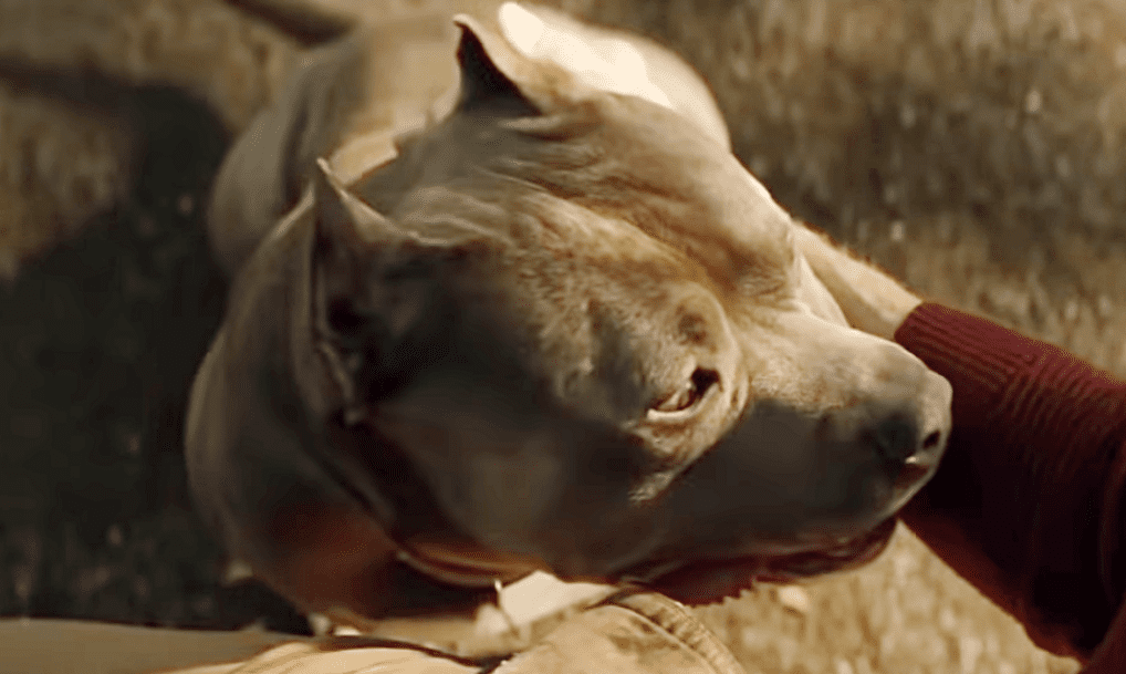 Patrick Stewart facts 