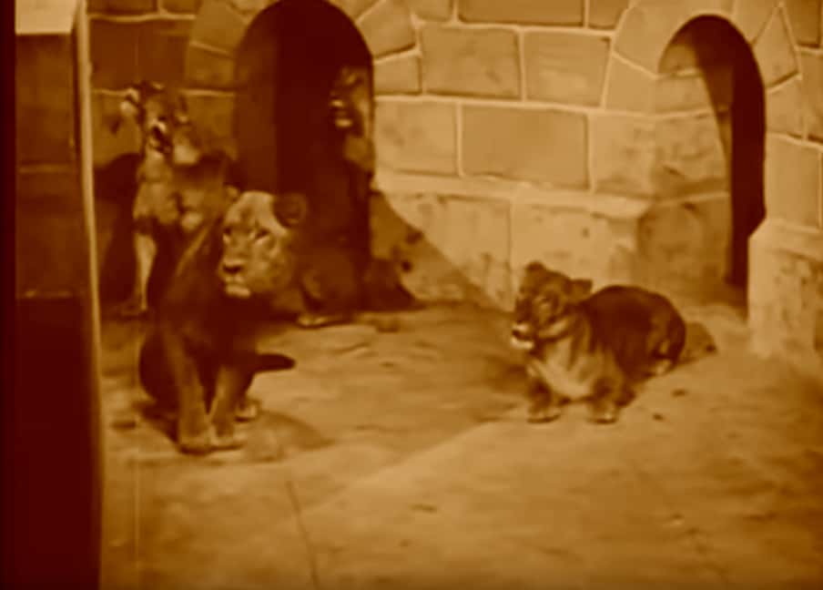 Gloria Swanson facts