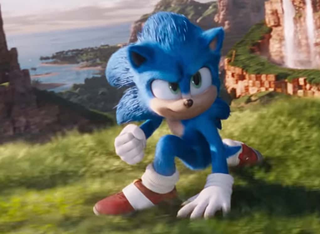 Sonic The Hedgehog facts