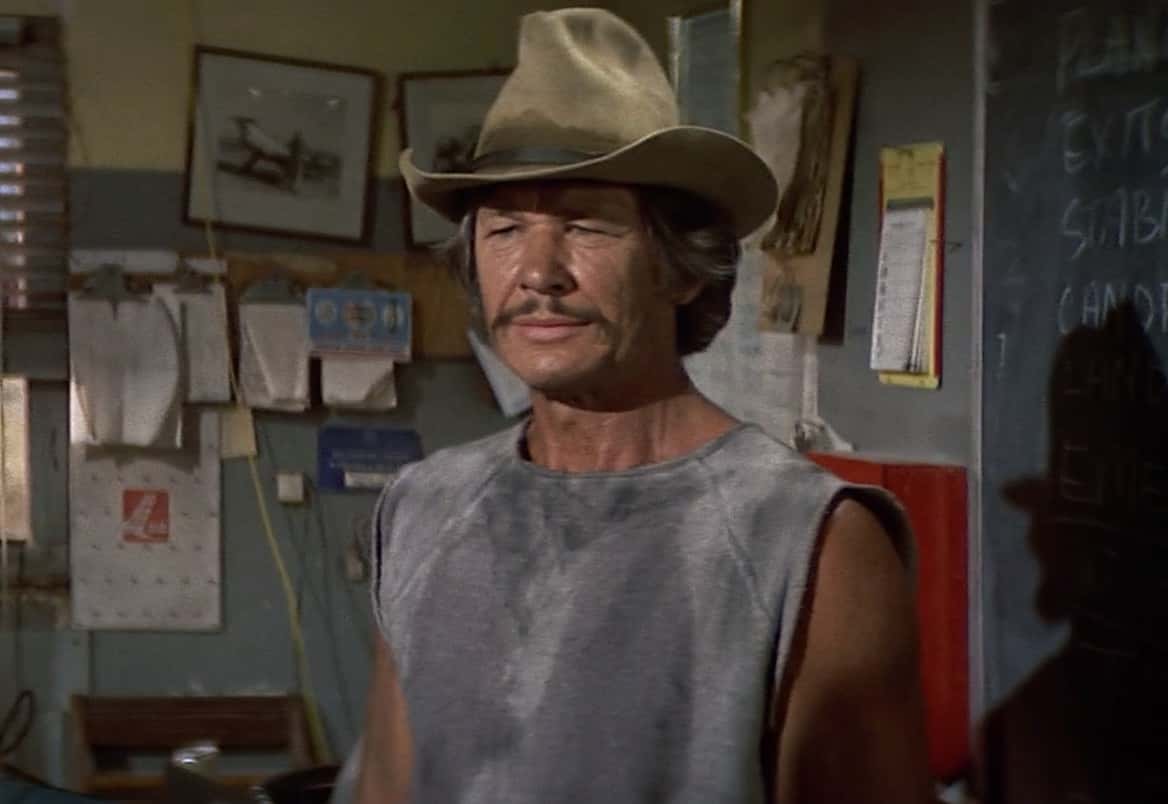 Charles Bronson Facts