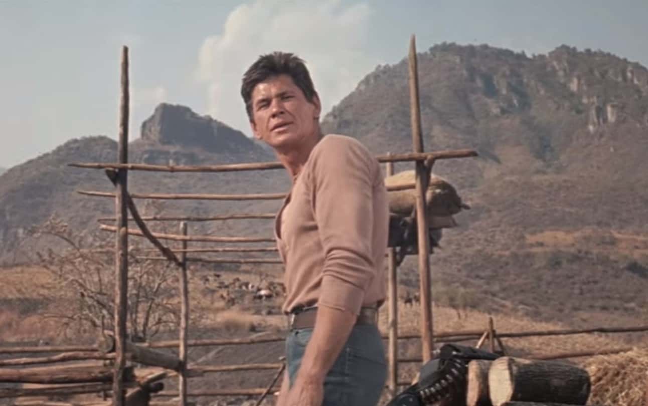 Charles Bronson Facts