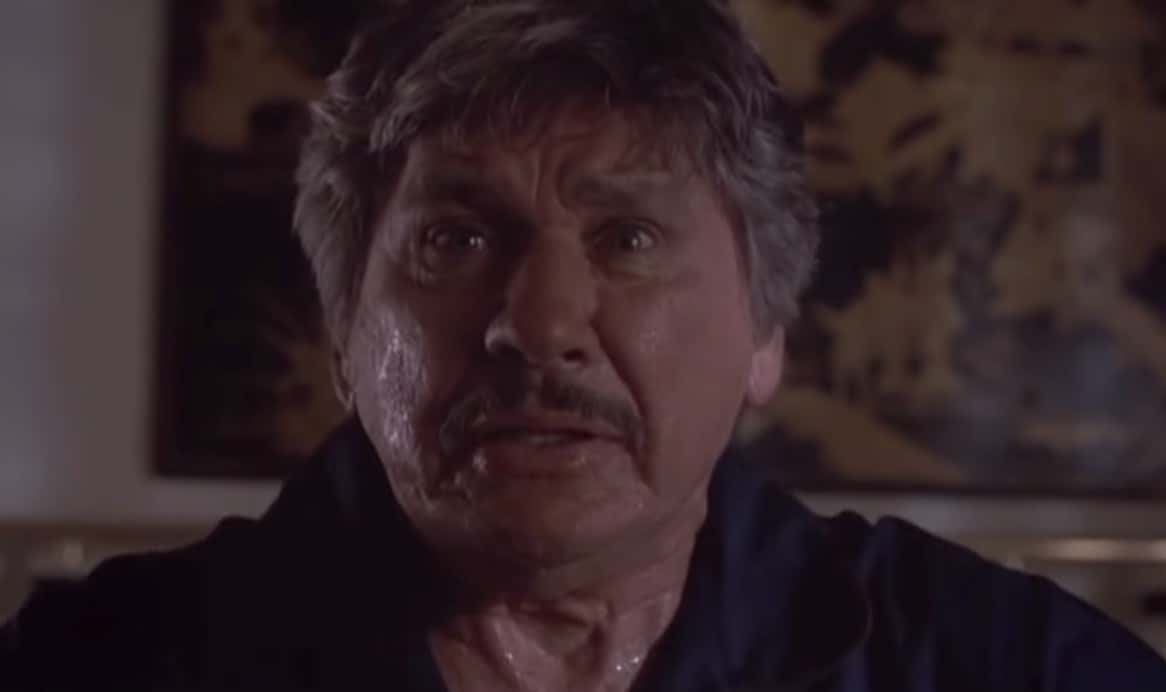 Charles Bronson Facts