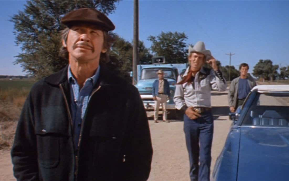 Charles Bronson Facts