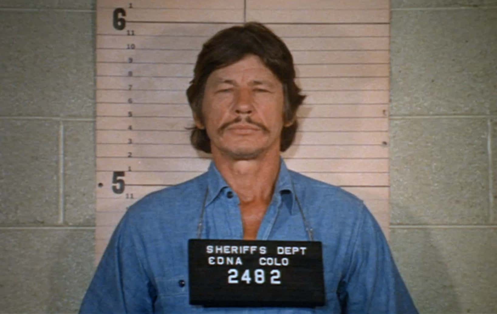 Charles Bronson Facts
