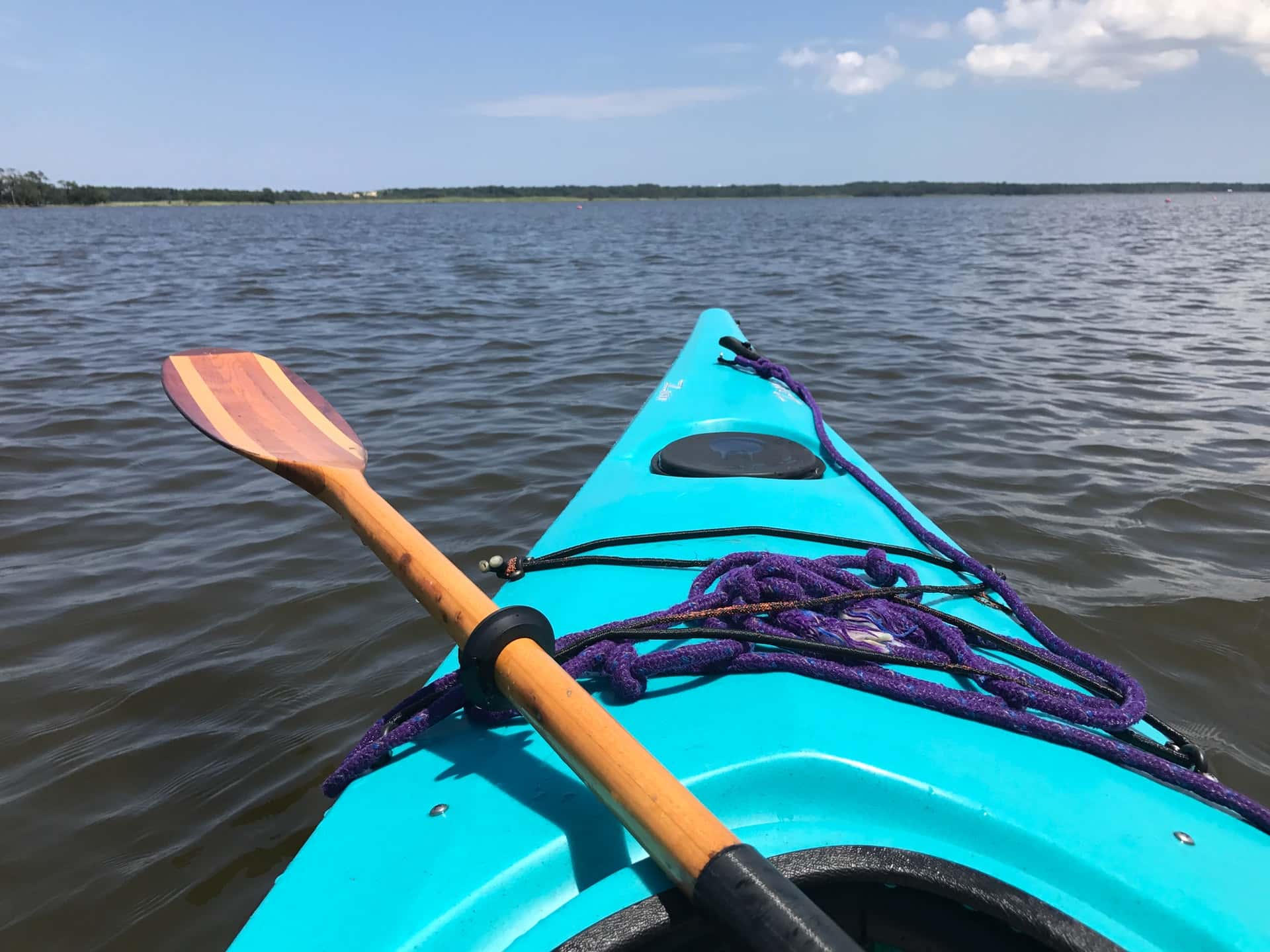 Amazing Coincidences facts