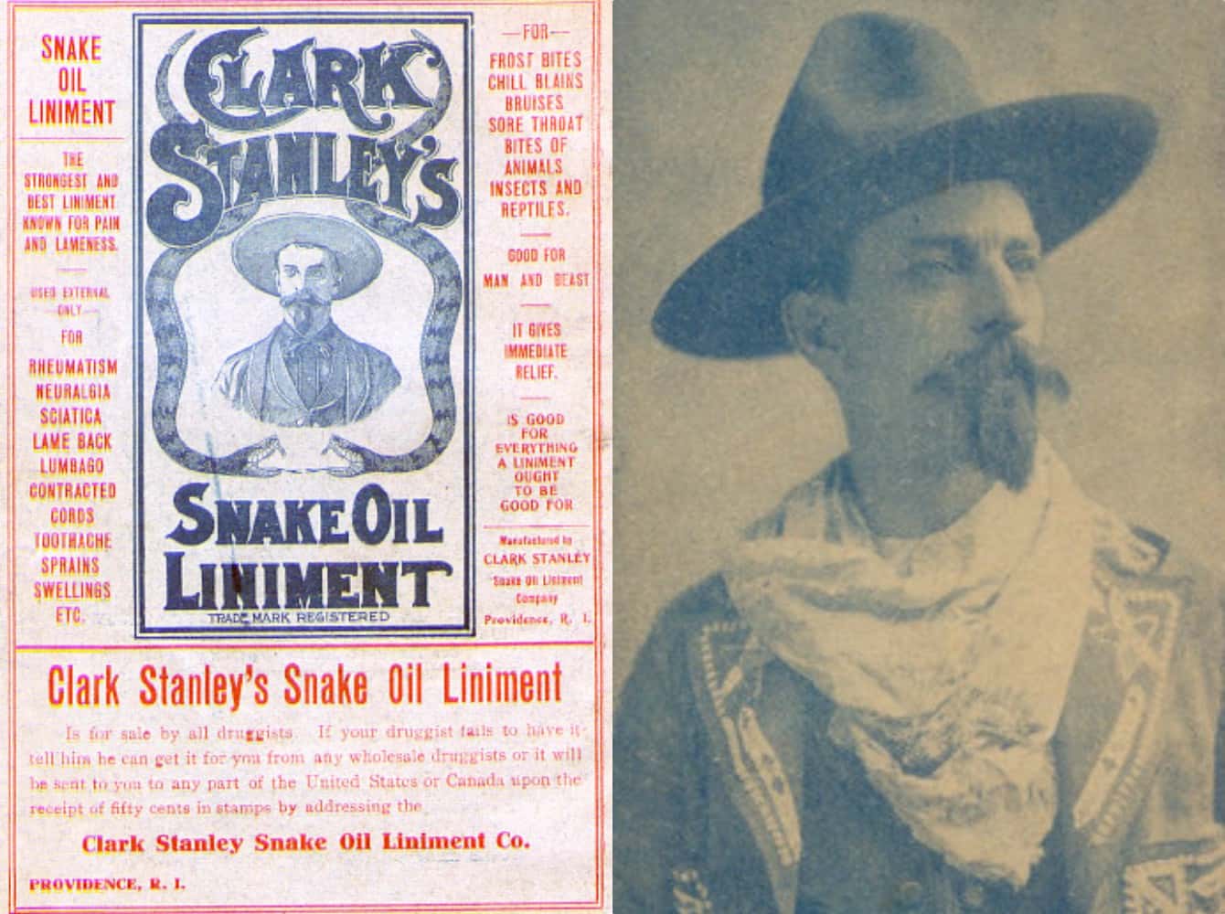 Dangerous Crooks And Charlatans Facts